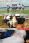 Nonton Film NHDT-982 Streaming Subtitle Indonesia