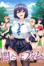 Nonton Film Adam’s Sweet Agony Streaming Subtitle Indonesia