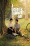 A Brighter Summer Day