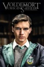 Voldemort: Origins of the Heir