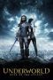 Underworld: Rise of the Lycans