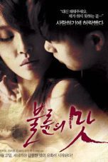The Taste of an Affair (The temptation of infidelity) (2014)