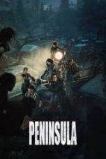Train to Busan 2: Peninsula