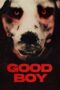 Nonton Film Good Boy (2022) Streaming Subtitle Indonesia