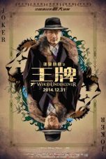 Who Is Undercover (2014)