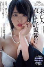 Nonton Film ADN-517 Streaming Subtitle Indonesia