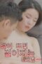 Nonton Film Mother in law Who Opens up When the Moon Rises Streaming Subtitle Indonesia