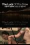 The Luck Of the Draw (2019)