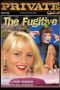 The Fugitive 2