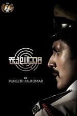 Kavaludaari