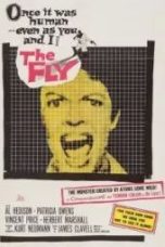 The Fly