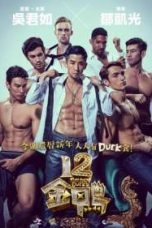 12 Golden Ducks (2015)