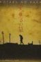 Grave of the Fireflies