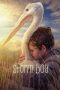 Storm Boy (2019)