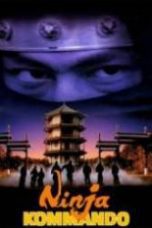 Ninja in the Dragon’s Den