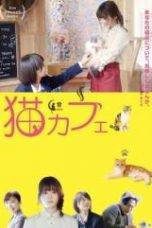 Cat Cafe