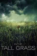 In the Tall Grass