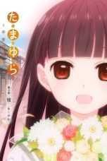 Tamayura: Sotsugyou Shashin Part 3 – Akogare