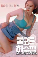 Nonton Film Watery Boarding House Sub Indo Full Movie Gratis