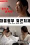 Nonton Film Big Brother in law Sub Indo Full Movie Gratis