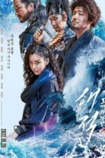 The Pirates: The Last Royal Treasures