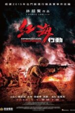 Operation Red Sea