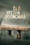 Ela Veezha Poonchira (2022)