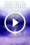 Wilting Rose (2025)