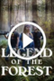 Legend of the Forest (2025)