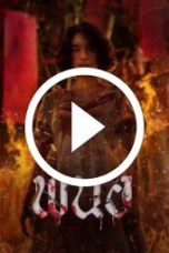 Panor (2025)