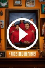 A Nice Indian Boy (2025)