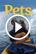 Pets (2025)