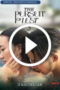 The Pursuit of Lust 5 (2025)