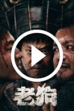 Bleed for Past (2025)