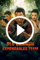 Elderly Expendables Team (2024)