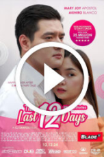 The Last 12 Days (2024)