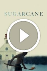 Sugarcane (2024)