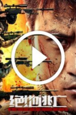 Skiptrace (2024)