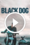 Black Dog (2024)