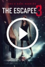The Escapee 3: The Final Escape (2024)