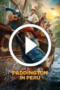 Paddington in Peru (2024)