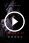 Bozzo in the woods (2025)