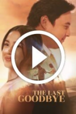 The Last Goodbye