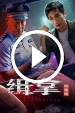 Arrest Yang Qiangqiang (2024)
