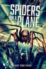 Spiders on a Plane (2024)