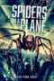 Spiders on a Plane (2024)
