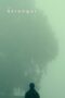 The Stranger (2021)