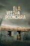 Ela Veezha Poonchira (2022)