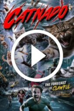 Catnado (2024)