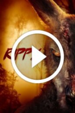 Rippy (2024)